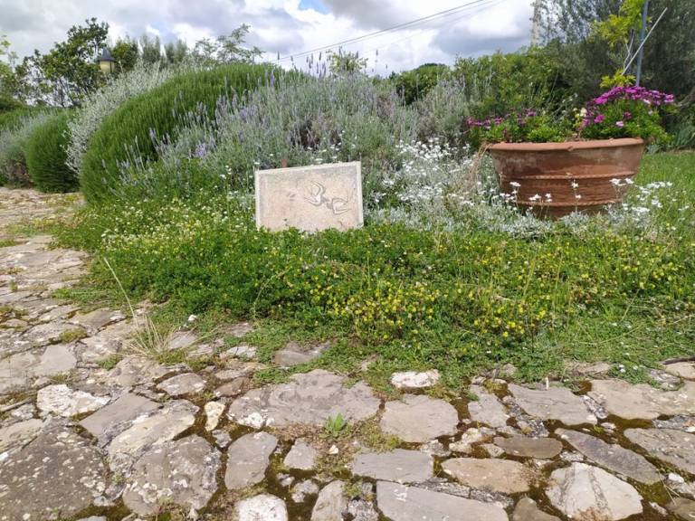 Mosaico Oltre il Giardino: Casale Rosmarino tra gli ulivi — photo 2