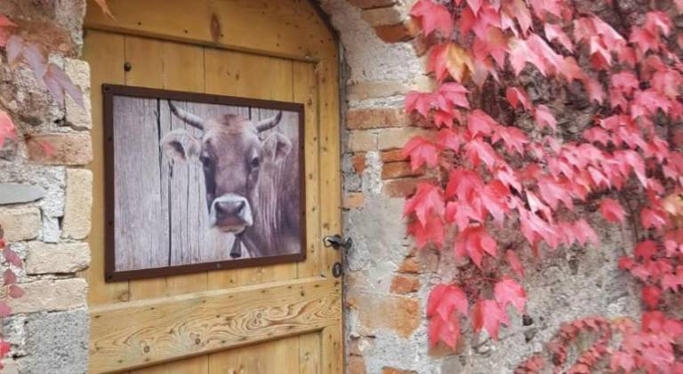 Vacation home with 2 rooms for 4 persons in Tremosine