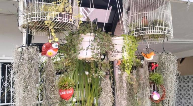 foto42