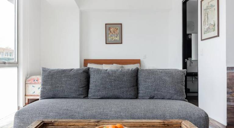 Wonderful rental apartment | Pet-friendly in Mexico City