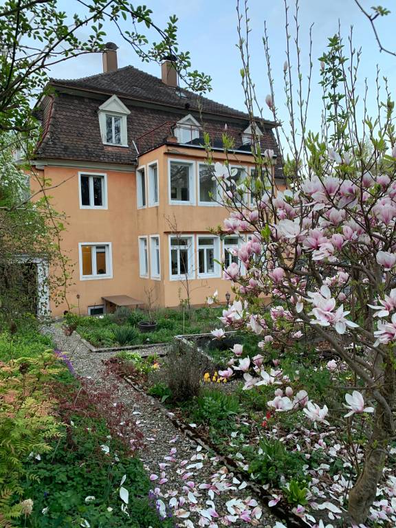 Fully equipped big house with patio | Garden view | Perfect for remote work | Pet-friendly — photo 2
