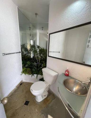 foto17