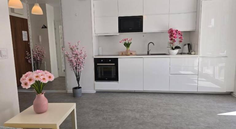 Beautiful holiday apartment | Pets are welcome in Lublin