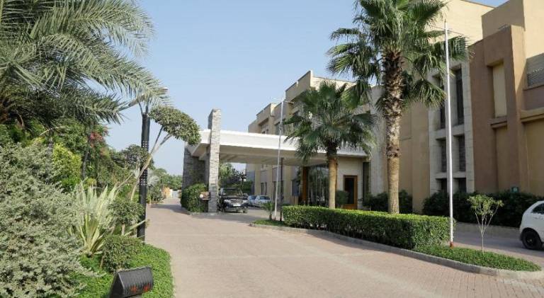 foto6
