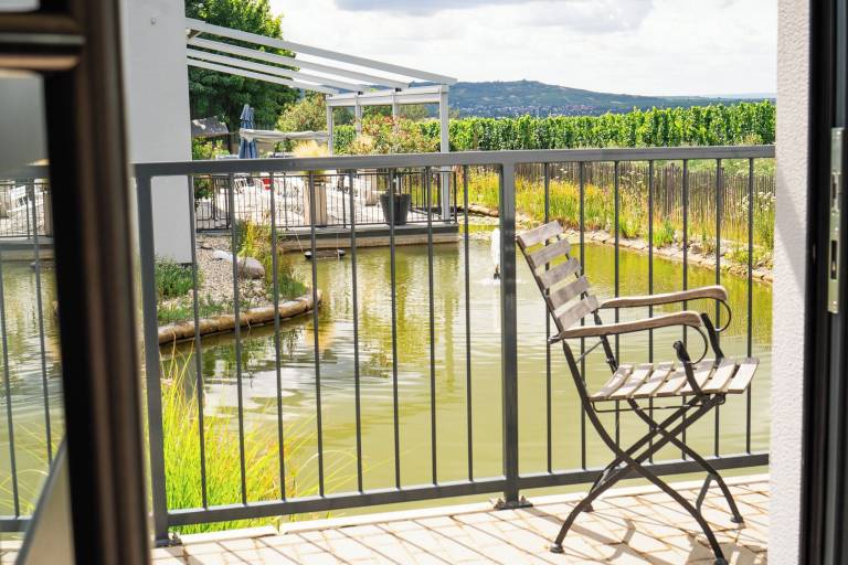 Ferienwohnung Geisenheim