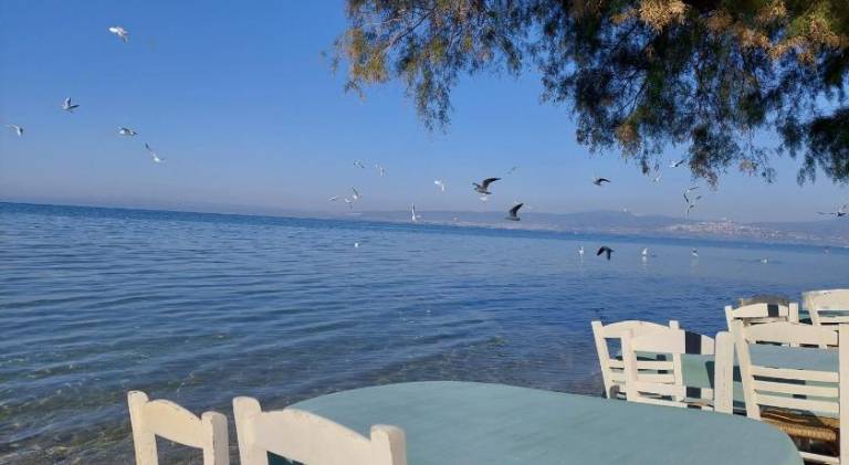 foto22