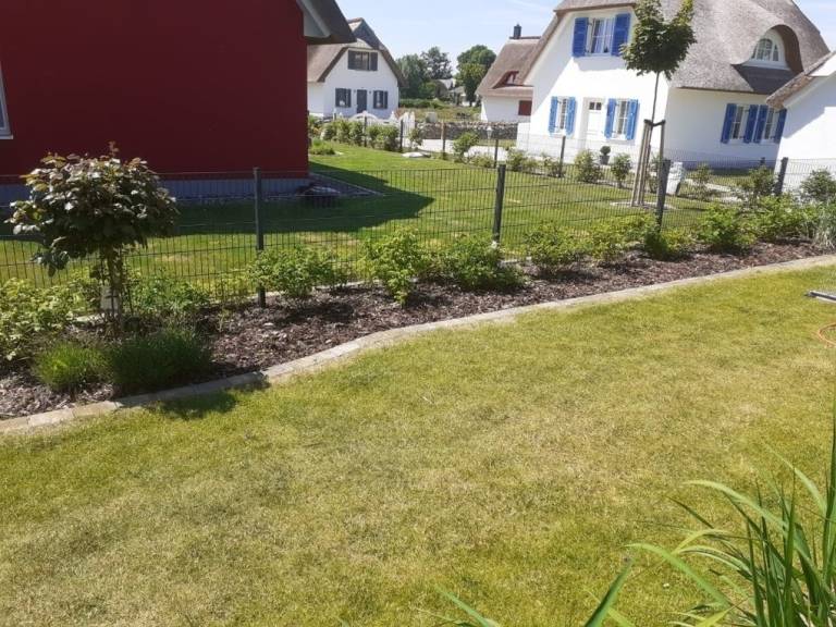foto26