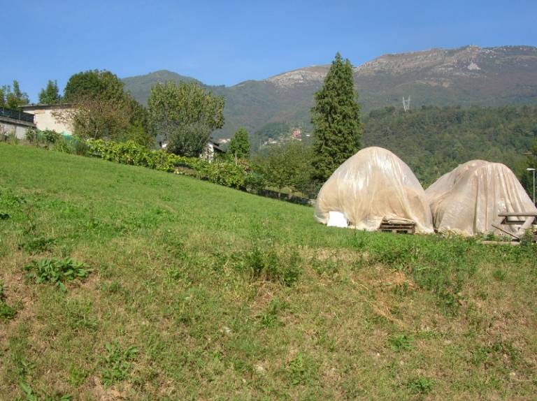 foto41