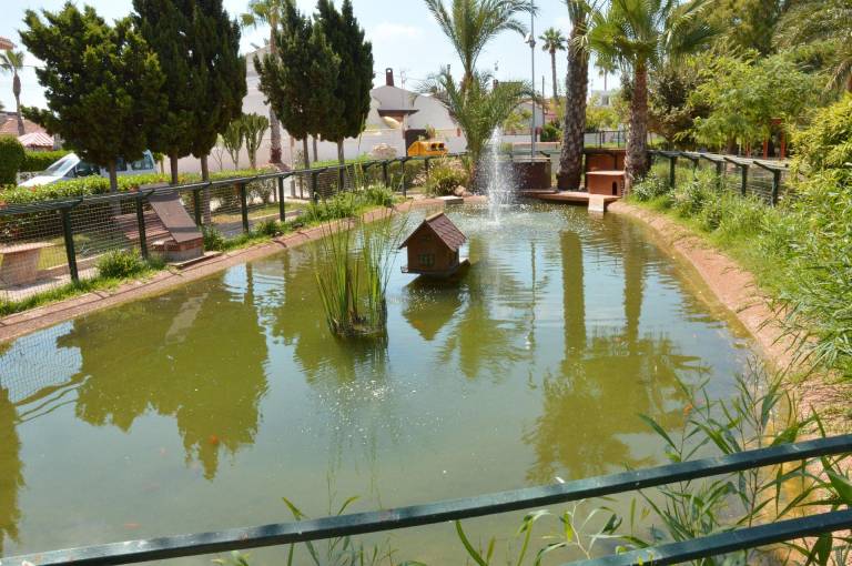 foto46