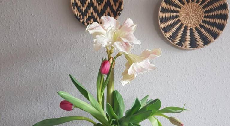 58 m² Ferienwohnung