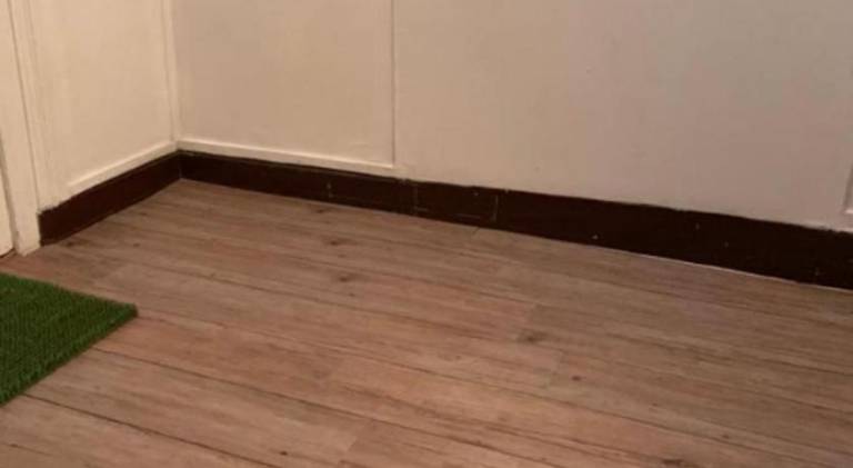 Holiday apartment with 1 room for 5 persons — photo 4