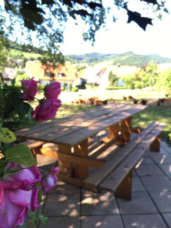 foto20