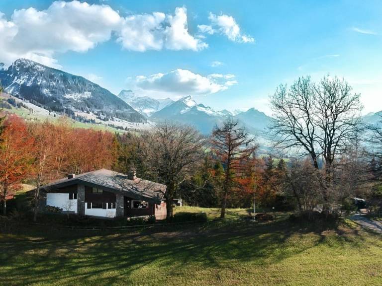 Chalet  Wilderswil