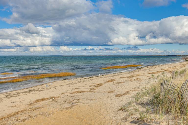 Steps to Beach: Timeless Lower Cape Cottage — photo 4
