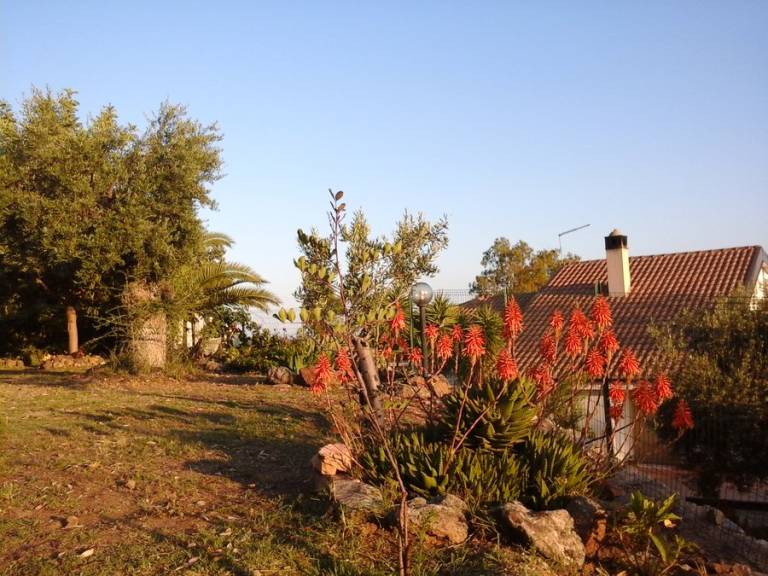 Chiai Francesco: Camera 5 — photo 2