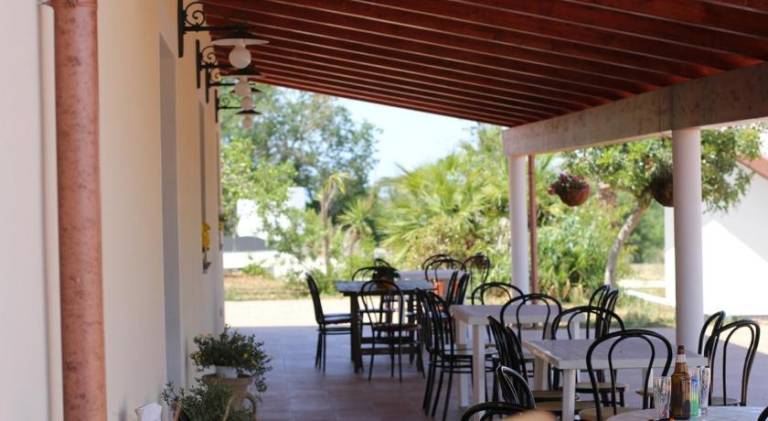 Farm with pool, barbeque & terrace | Pets are welcome — photo 4
