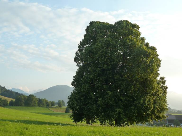 foto17