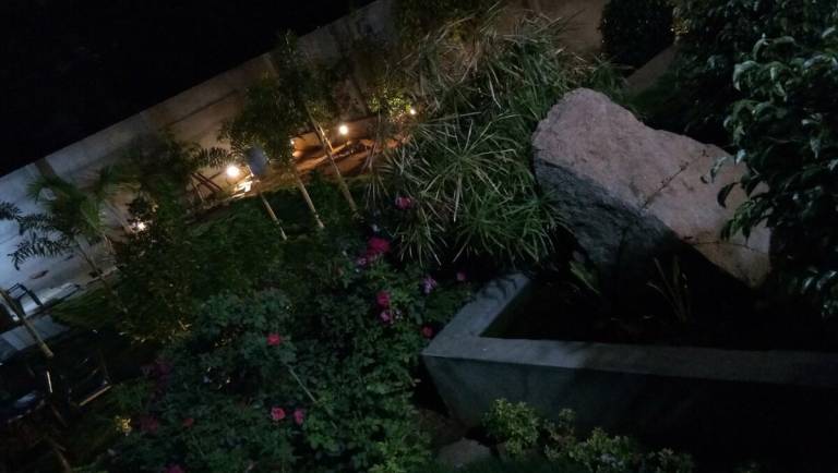foto39
