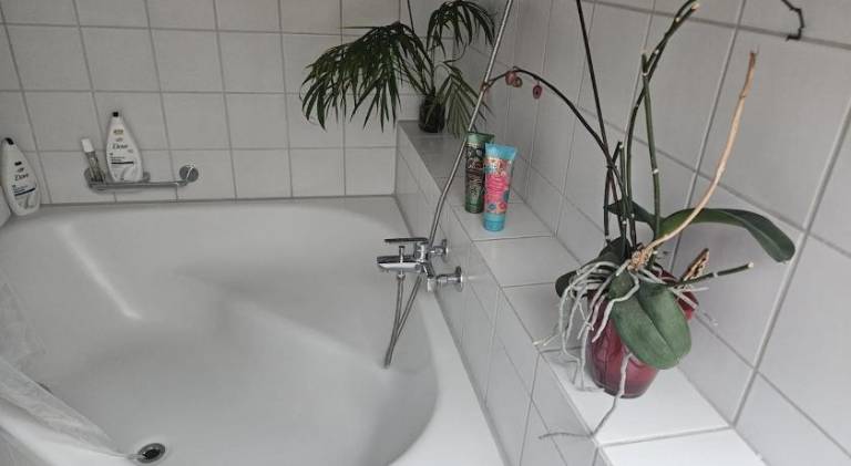 Rental apartment | Next to Zürich Hauptbahnhof | Pets are welcome — photo 4