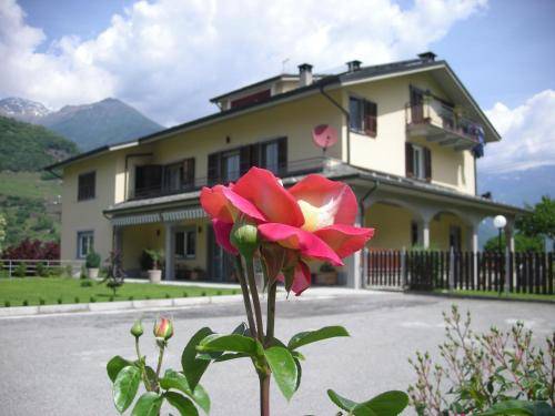 Bed & Breakfast Teglio