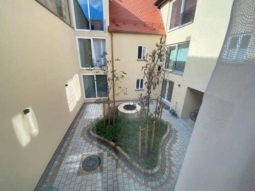 foto4