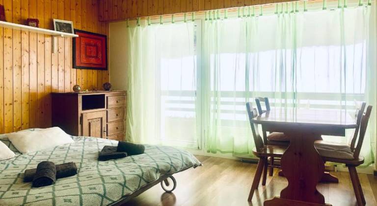 Apartment with 1 room for 2 persons in Vex