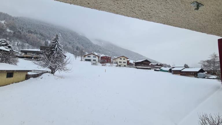foto6