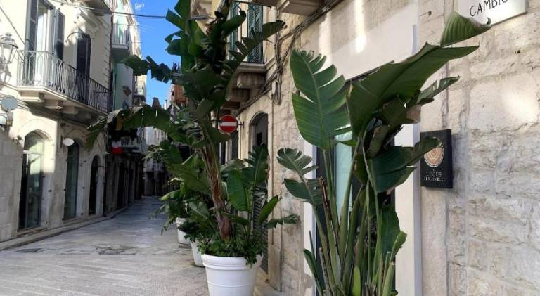 Locus Pendinelli Trani — photo 2
