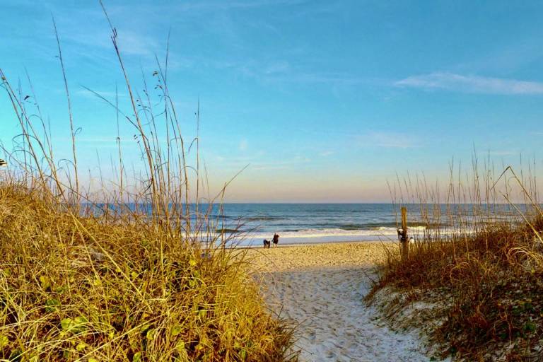 Bikinis & Martinis Beach House - Townhome, 3 Bedrooms, 2.5 Baths, (Sleeps 8) — photo 4