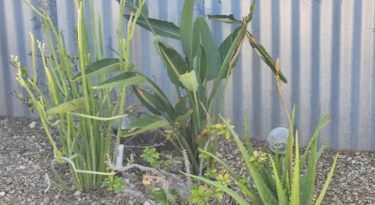 13 m&sup2; Ferienhaus