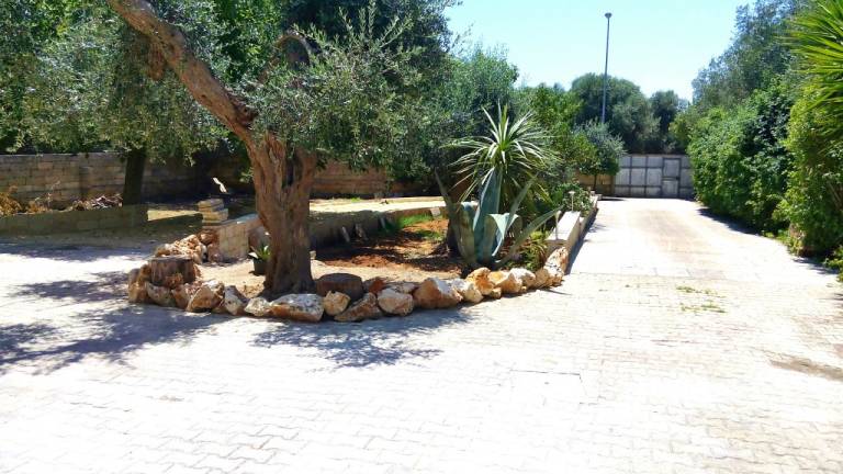 Villa with barbeque & garden | Nature view — photo 3