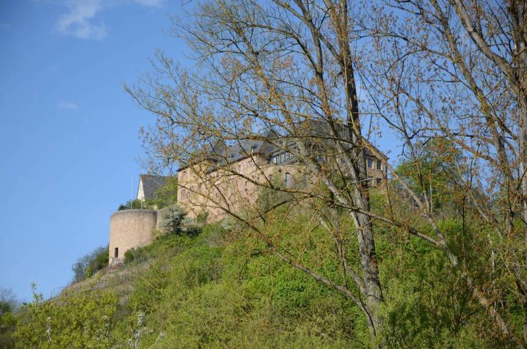 foto6