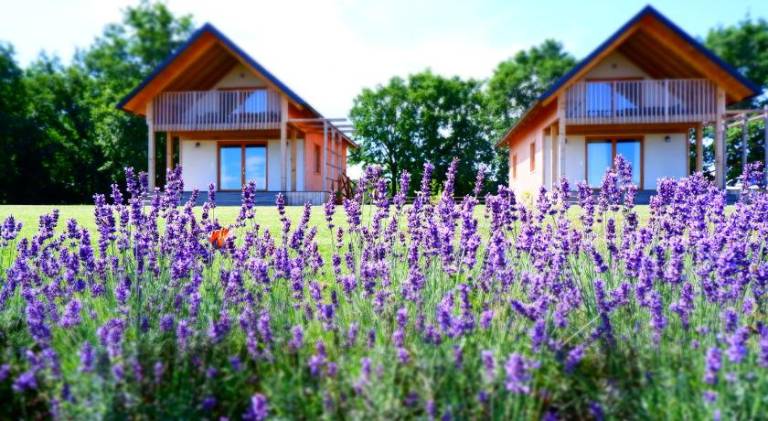 77 m&sup2; Ferienwohnung