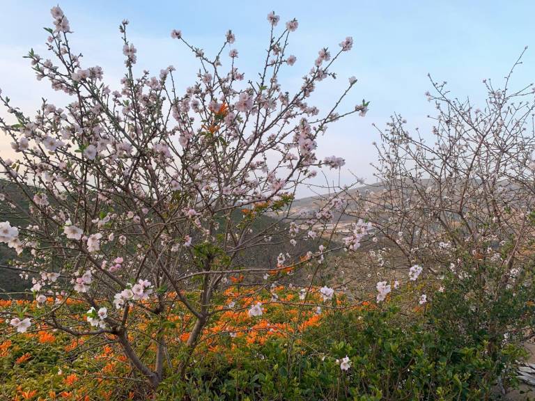 Casa de campo Barranco Ferrer