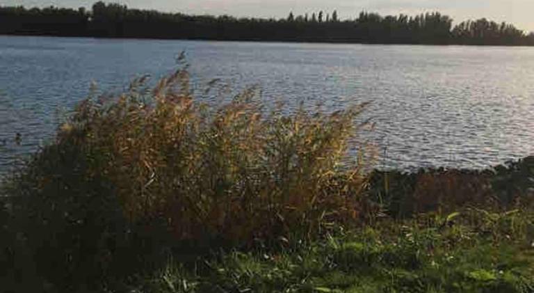 foto11