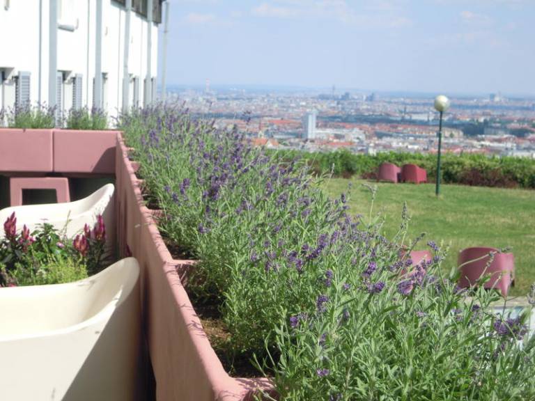 Hostel  Ottakring