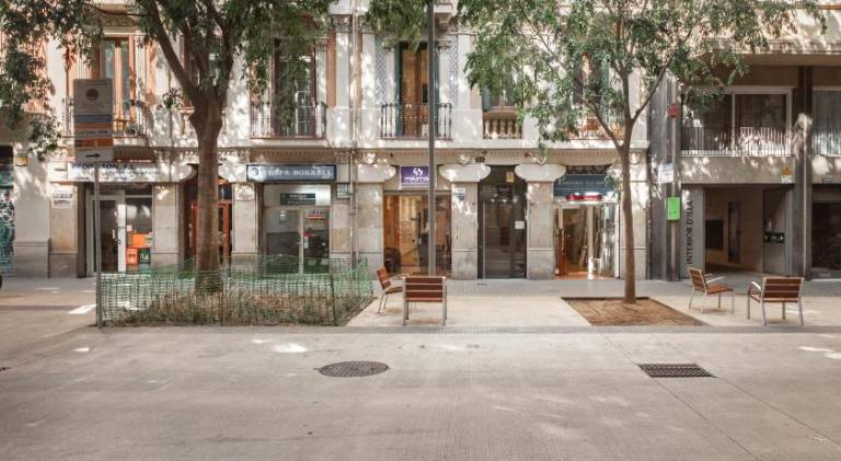 Beautiful rental apartment | Dogs allowed — photo 4