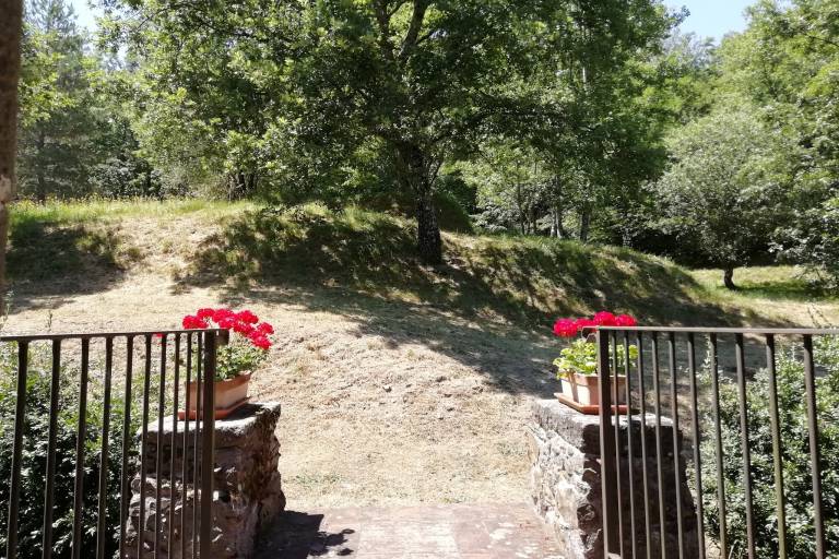 foto16