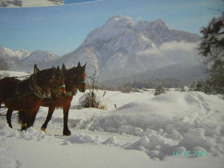 foto23