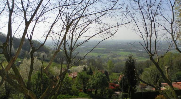 foto43