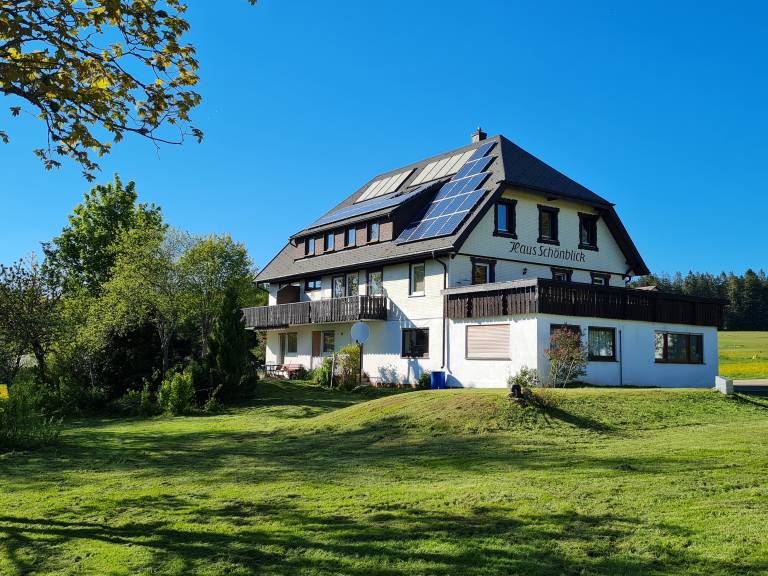 foto11