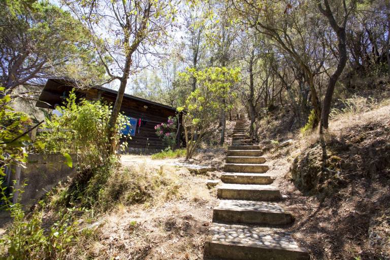 Holiday apartment with 1 room for 3 persons — photo 4