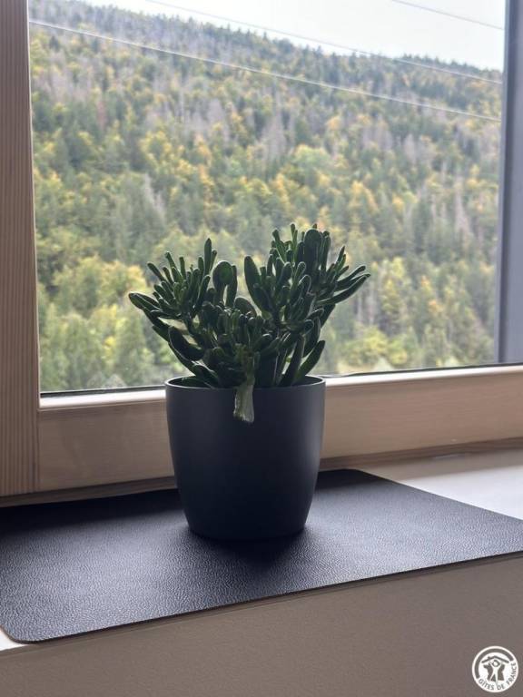 foto22