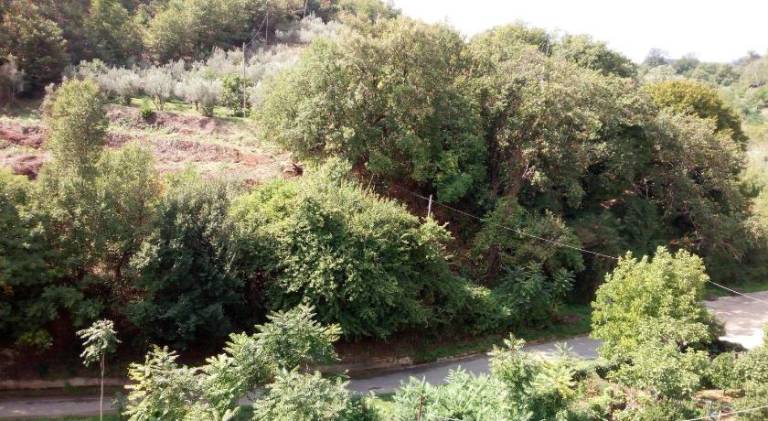 Vacation home with 2 rooms for 4 persons — photo 4
