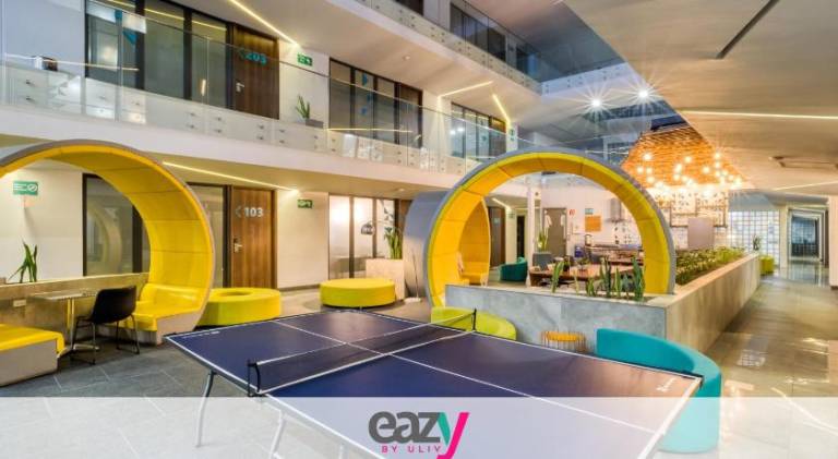 Serviced apartment | Pet-friendly in Tijuana