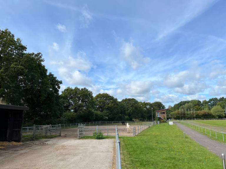 Ferienwohnung Hütten