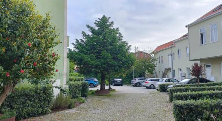 Rental apartment with yard in Porto