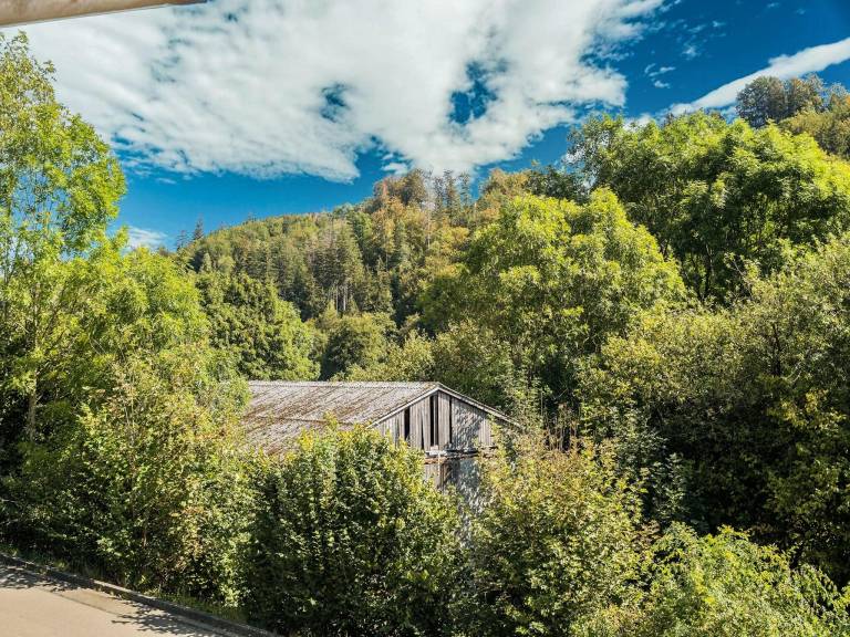 Huis Willingen