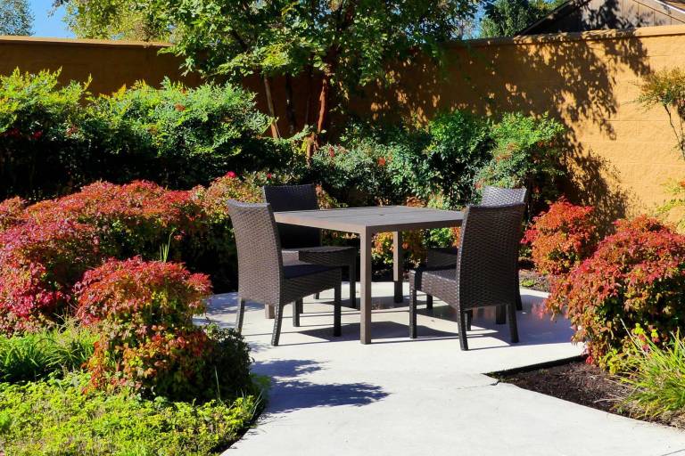 foto31