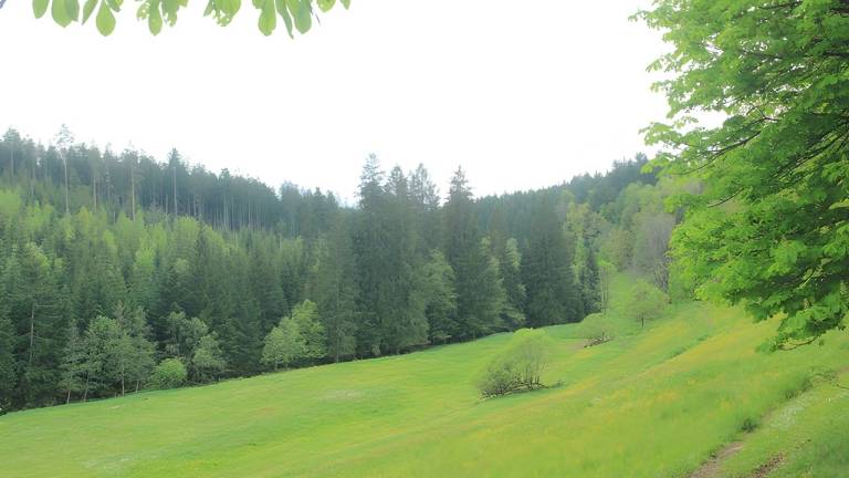 foto2